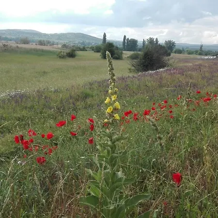 Peace & House In Tihany, Sajkod Feriehus