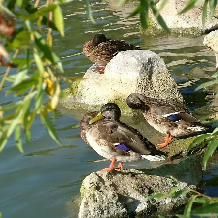 Peace & House In Tihany, Sajkod *