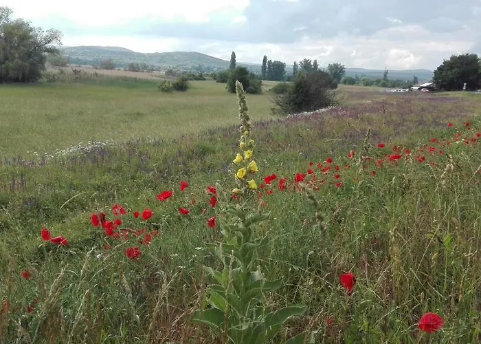 Peace & House In Tihany, Sajkod בית נופש