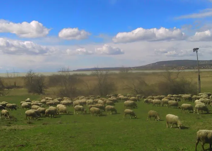 בית נופש Peace & House In Tihany, Sajkod טיהאני